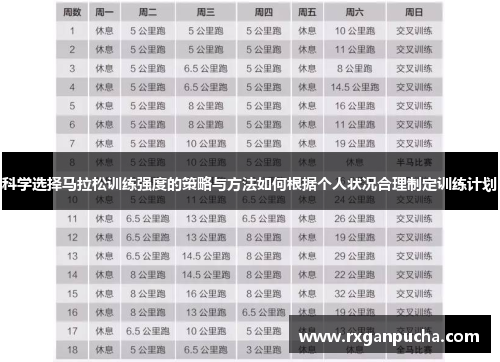 科学选择马拉松训练强度的策略与方法如何根据个人状况合理制定训练计划